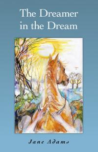 Dreamer in the Dream, The by Jane Adams